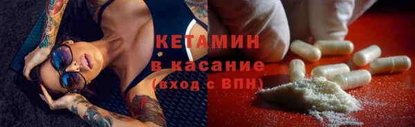 крисы Алексин
