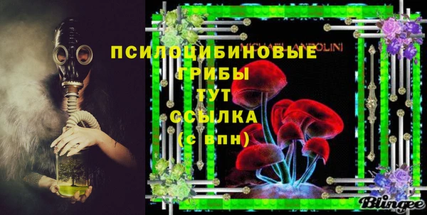 крисы Алексин