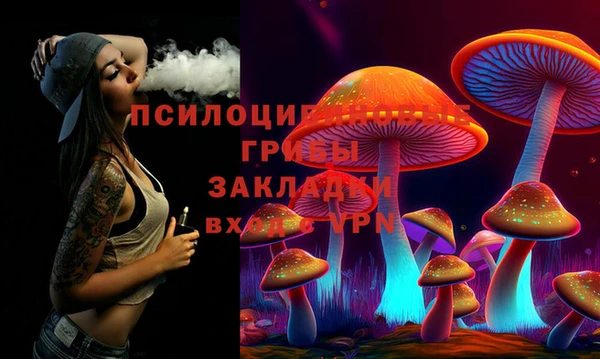 крисы Алексин