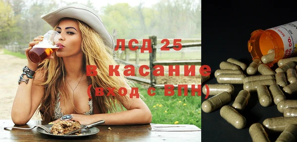 шишки Алзамай