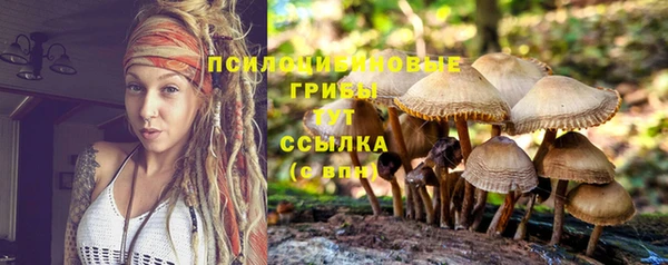 мдма Саяногорск