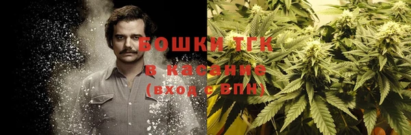 крисы Алексин
