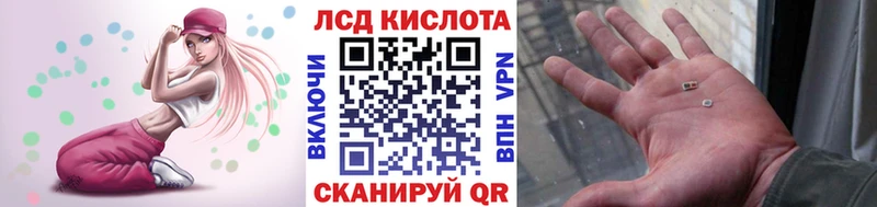 мориарти наркотические препараты Дивногорск Наркотические марки 1500мкг где купить наркотик