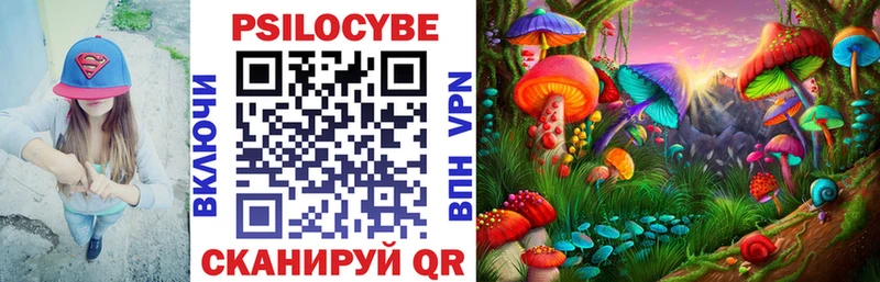 Псилоцибиновые грибы Cubensis  Дивногорск 